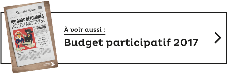 voir budget participatif 2017